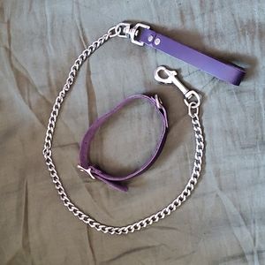 Pawstar purple collar and leash